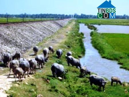 Hình ảnh Hòa Xuân, Đắk Lắk