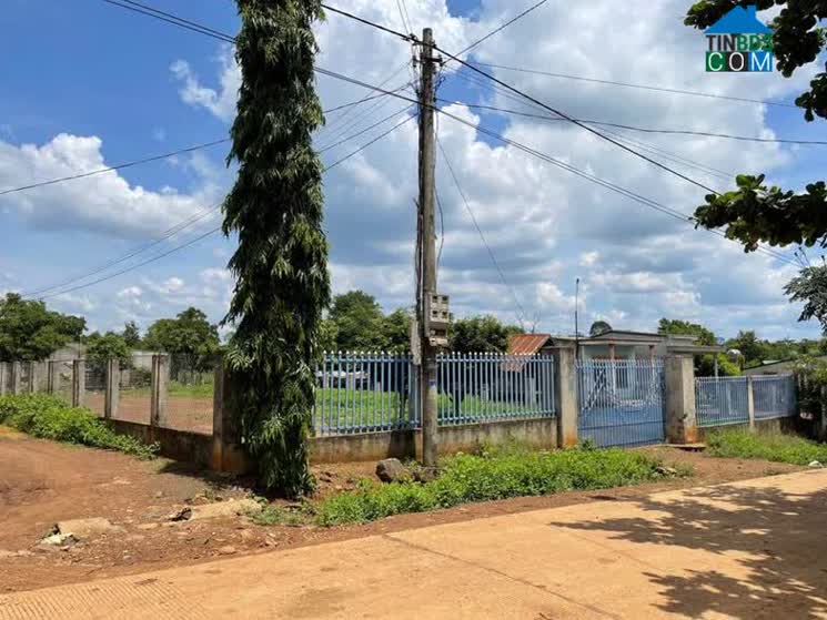 Hình ảnh Ea Nuôl, Đắk Lắk