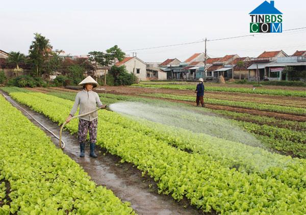 Hình ảnh Phú Yên, Đắk Lắk