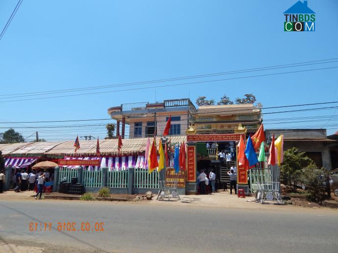 Hình ảnh Krông Pắc, Đắk Lắk