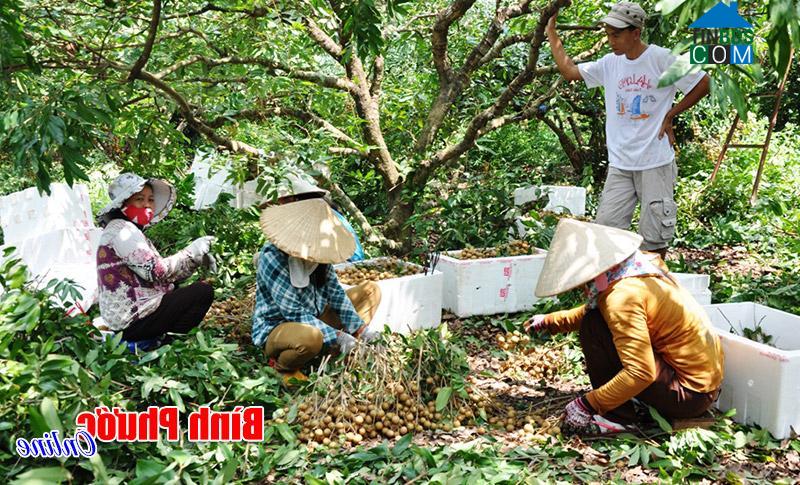 Hình ảnh An Lộc, Đồng Nai