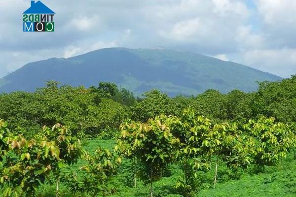 Hình ảnh Xuân Lộc, Đồng Nai