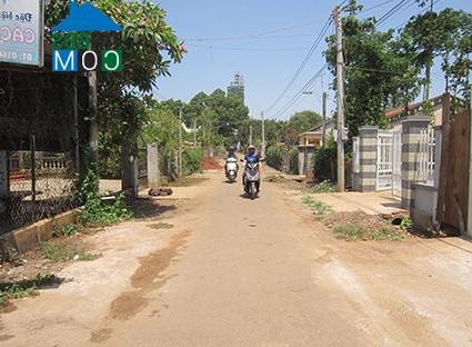 Hình ảnh Bình Giã, Hồ Chí Minh