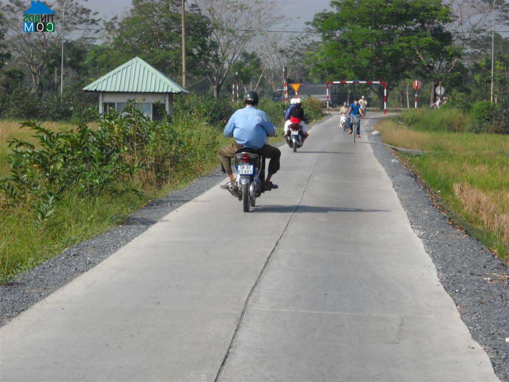 Hình ảnh Bình Đông, Hồ Chí Minh