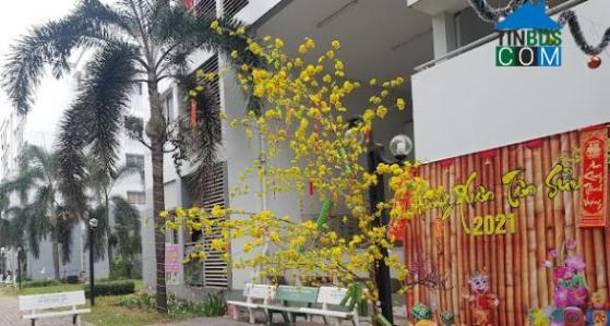 Hình ảnh Lái Thiêu, Hồ Chí Minh