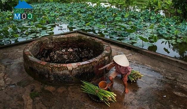 Hình ảnh Phú Nghĩa, Hà Nội