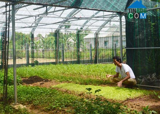 Hình ảnh Hà Nha, Đà Nẵng