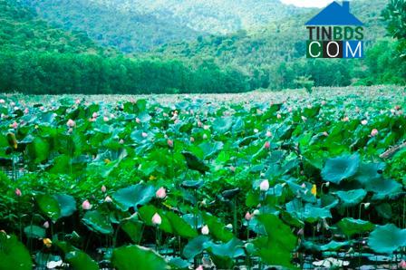 Hình ảnh Duy Xuyên, Đà Nẵng