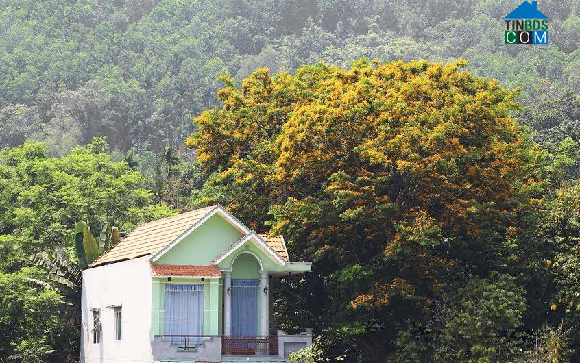 Hình ảnh Sơn Cẩm Hà, Đà Nẵng