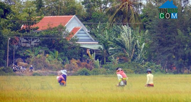 Hình ảnh Thăng An, Đà Nẵng