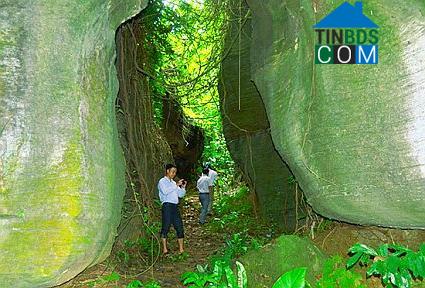 Hình ảnh Thạnh Bình, Đà Nẵng