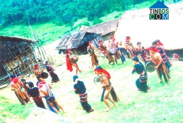 Hình ảnh Trà Linh, Đà Nẵng