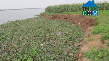 Hình ảnh Nguyên Giáp, Hải Phòng