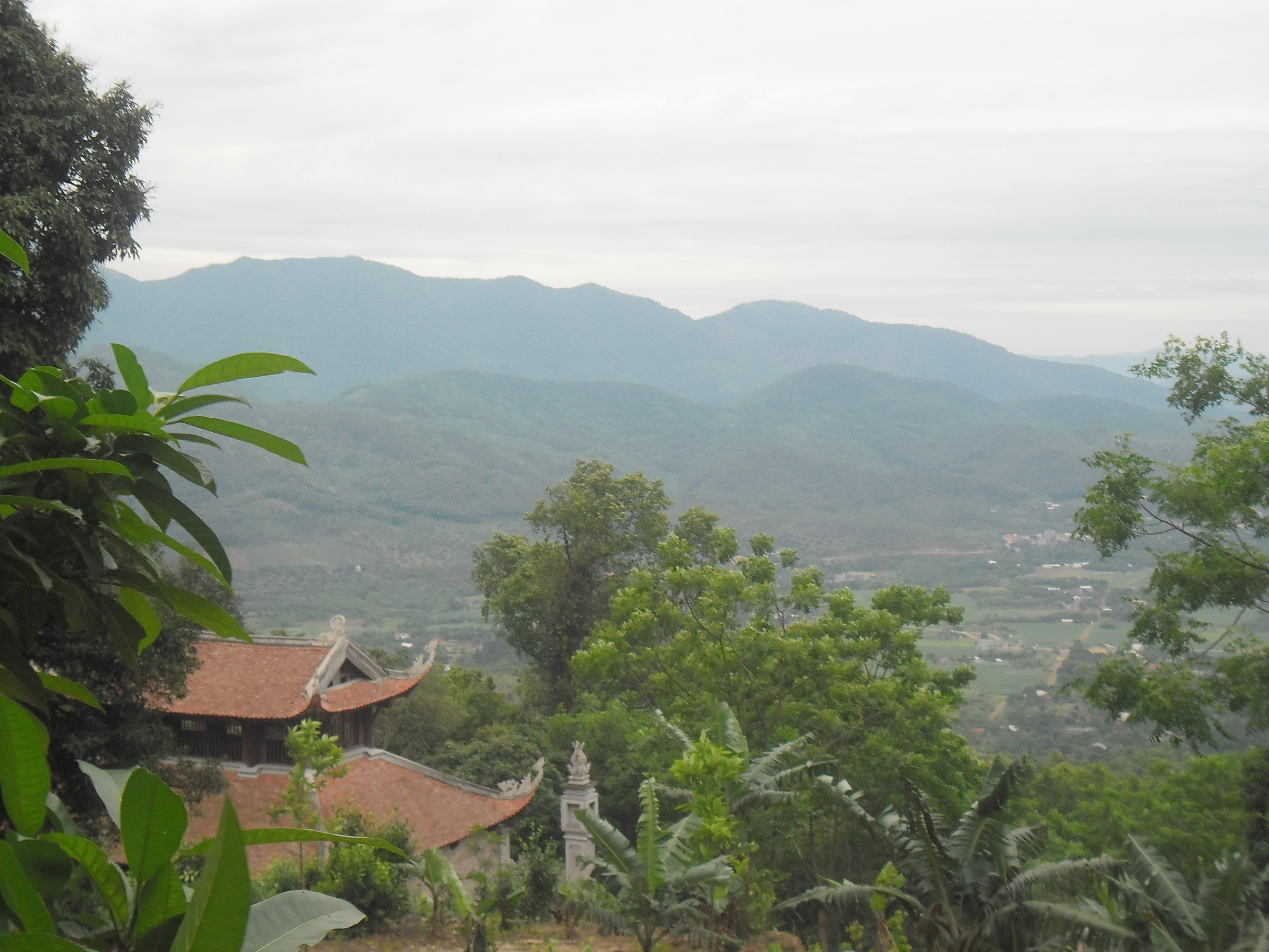 Hình ảnh Nguyễn Trãi, Hải Phòng