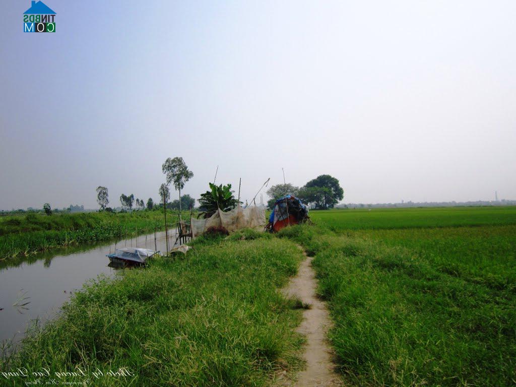 Hình ảnh An Khánh, Hải Phòng