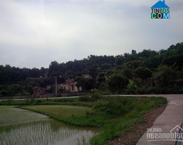 Hình ảnh Trần Nhân Tông, Hải Phòng