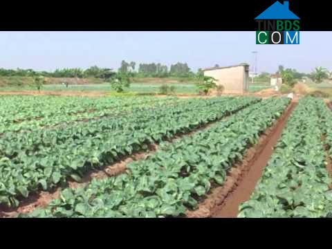 Hình ảnh Tứ Kỳ, Hải Phòng