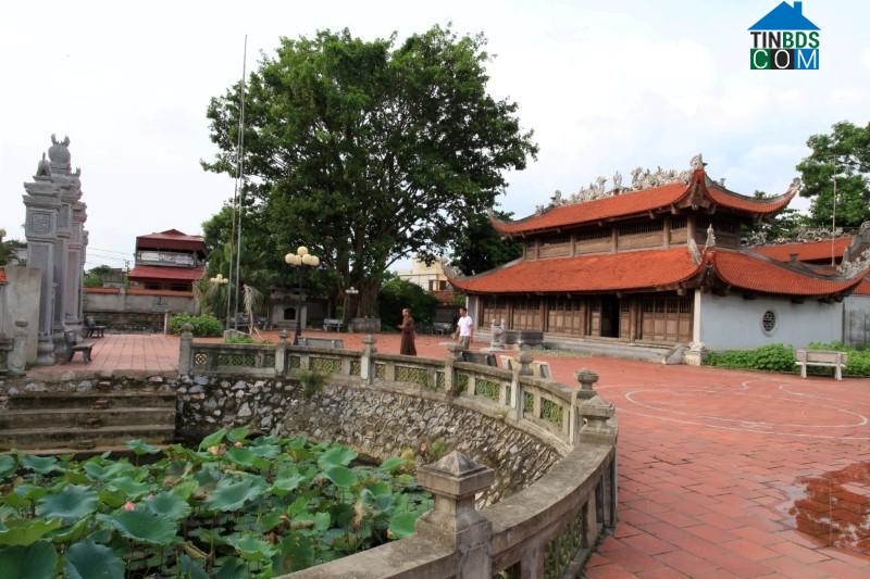 Hình ảnh Tuệ Tĩnh, Hải Phòng