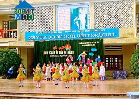 Hình ảnh Nam Đồ Sơn, Hải Phòng