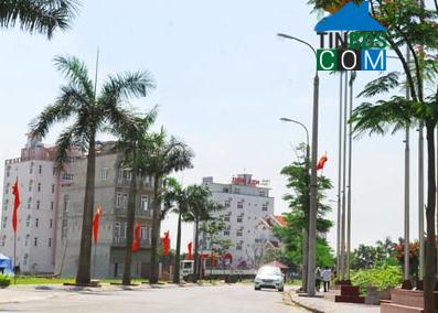 Hình ảnh Chí Minh, Hải Phòng