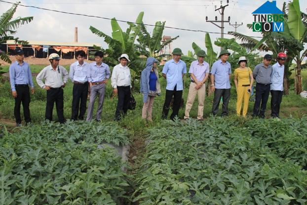 Hình ảnh Hà Đông, Hải Phòng