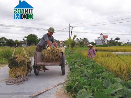 Hình ảnh An Dương, Hải Phòng