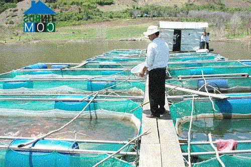 Hình ảnh Thoại Sơn, An Giang