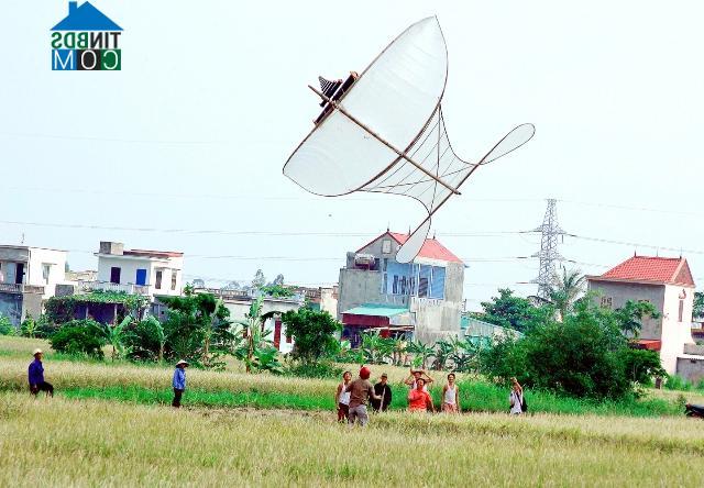 Hình ảnh Kiến Minh, Hải Phòng