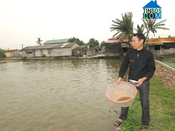 Hình ảnh Hải Hưng, Hải Phòng