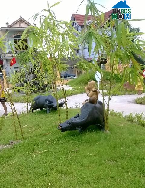 Hình ảnh Nam Thanh Miện, Hải Phòng