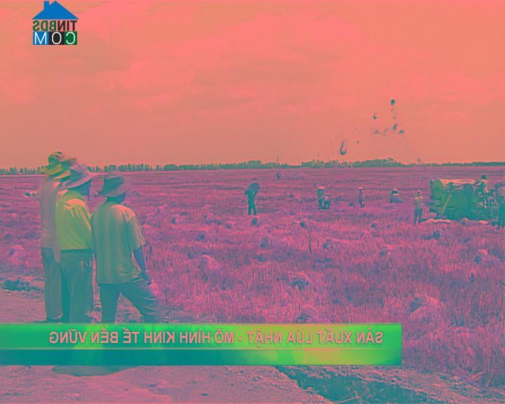 Hình ảnh Cô Tô, An Giang