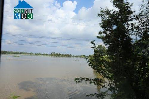 Hình ảnh Hòa Thuận, An Giang