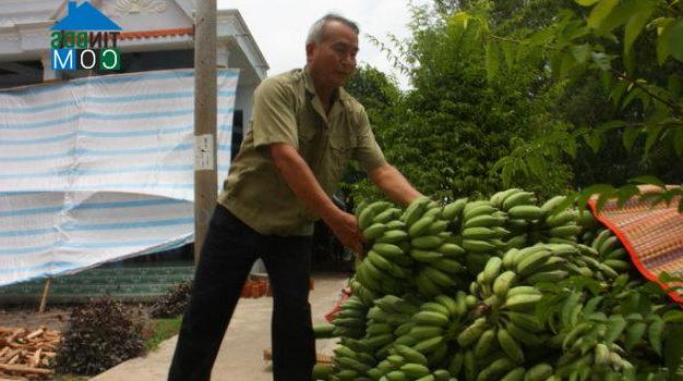 Hình ảnh U Minh Thượng, An Giang