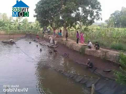 Hình ảnh Vĩnh Hậu, An Giang