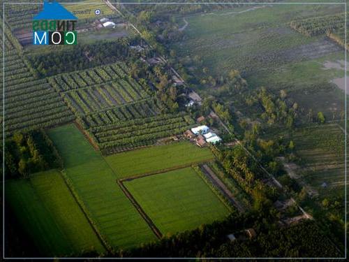 Hình ảnh Vĩnh Hòa Hưng, An Giang