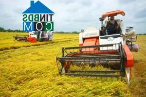 Hình ảnh Sơn Kiên, An Giang