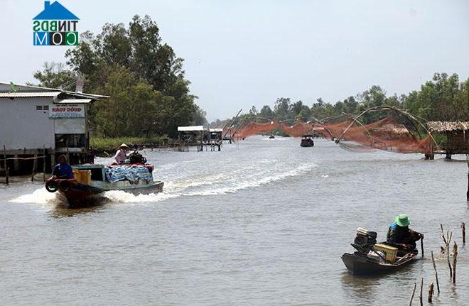 Hình ảnh Đông Thái, An Giang