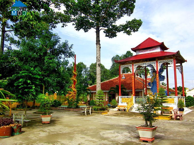 Hình ảnh Mỹ Thới, An Giang