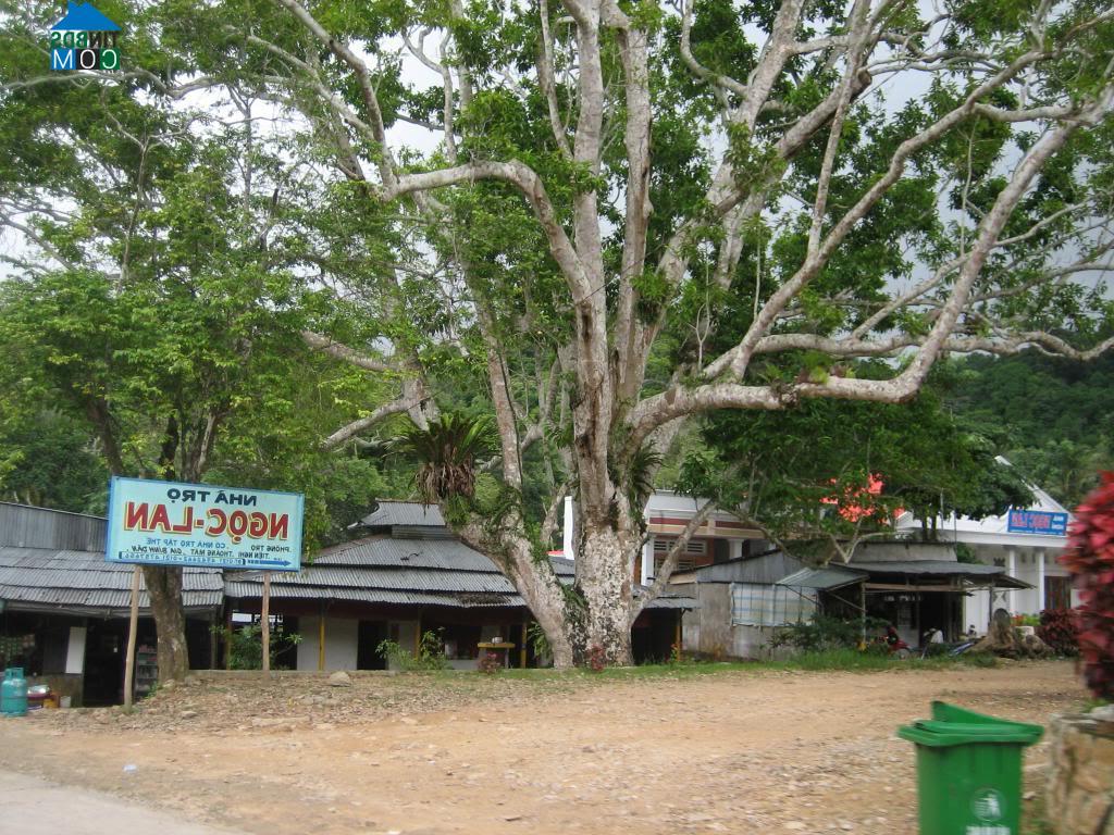 Hình ảnh Núi Cấm, An Giang