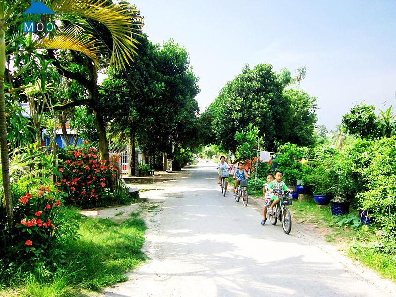 Hình ảnh Bình Hòa, An Giang