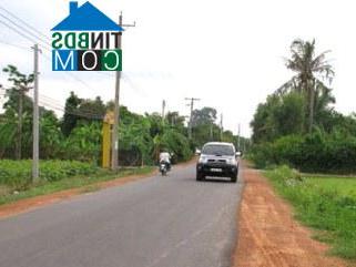 Hình ảnh Phú Tân, An Giang