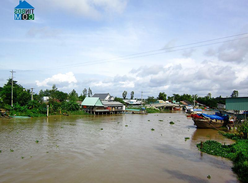 Hình ảnh Tân Hội, An Giang