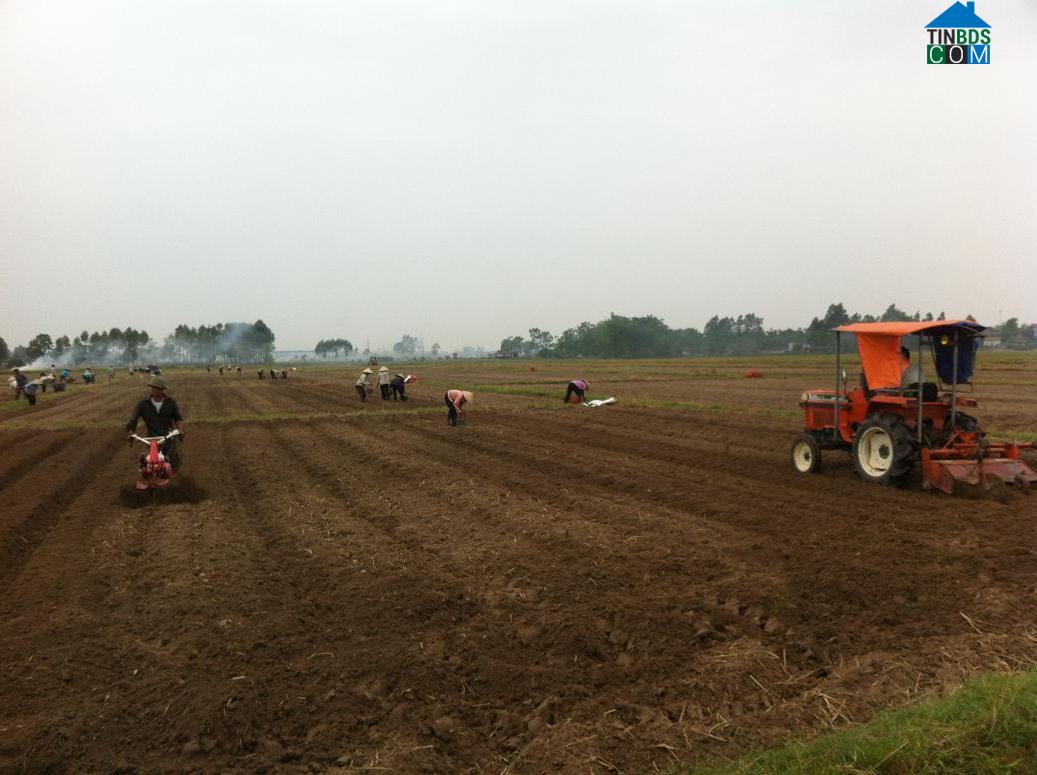 Hình ảnh Nhân Hòa, Bắc Ninh