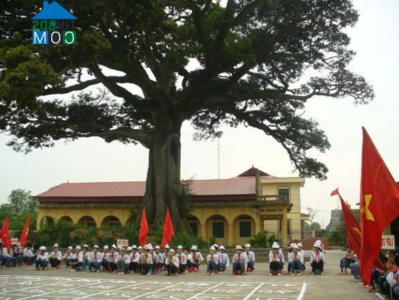Hình ảnh Ninh Xá, Bắc Ninh