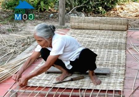 Hình ảnh Biển Bạch, Cà Mau