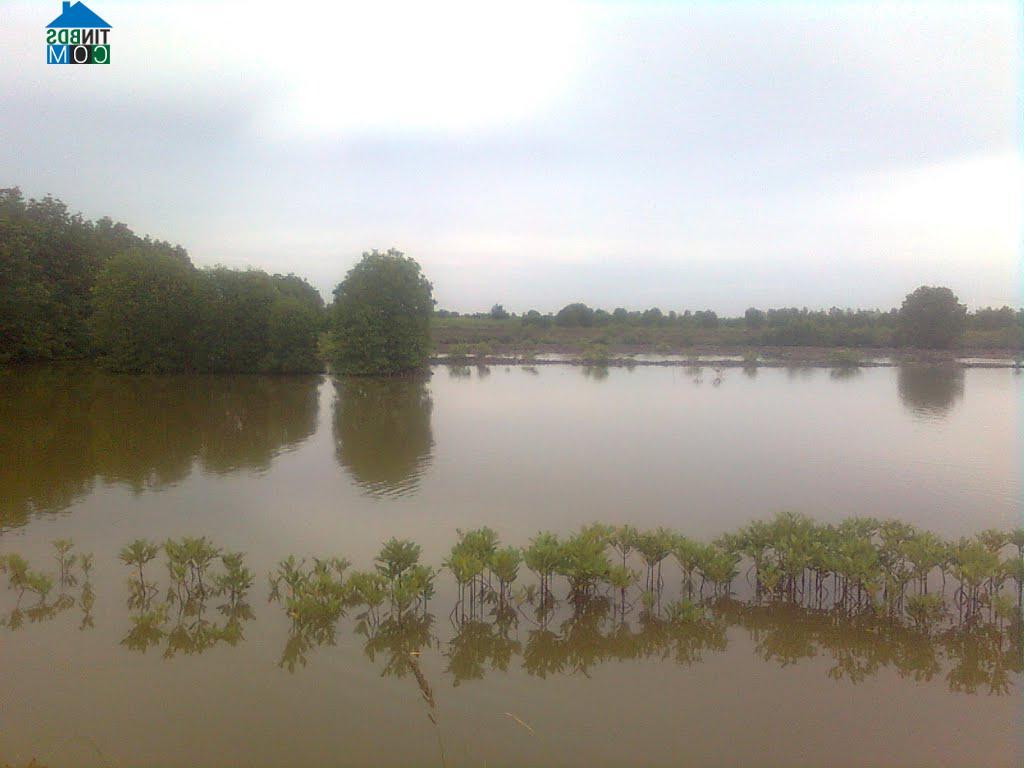 Hình ảnh Cái Đôi Vàm, Cà Mau