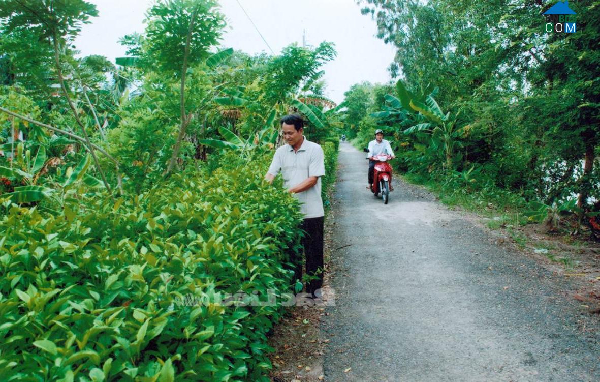 Hình ảnh Định Thành, Cà Mau