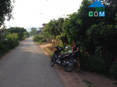 Hình ảnh Việt Yên, Bắc Ninh