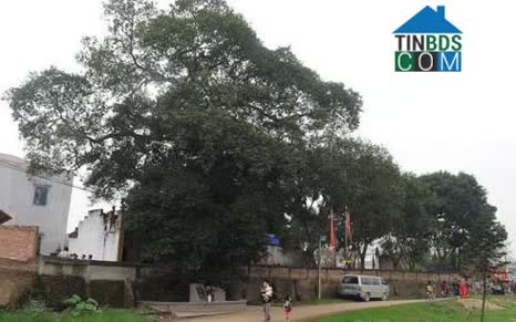 Hình ảnh Xuân Cẩm, Bắc Ninh