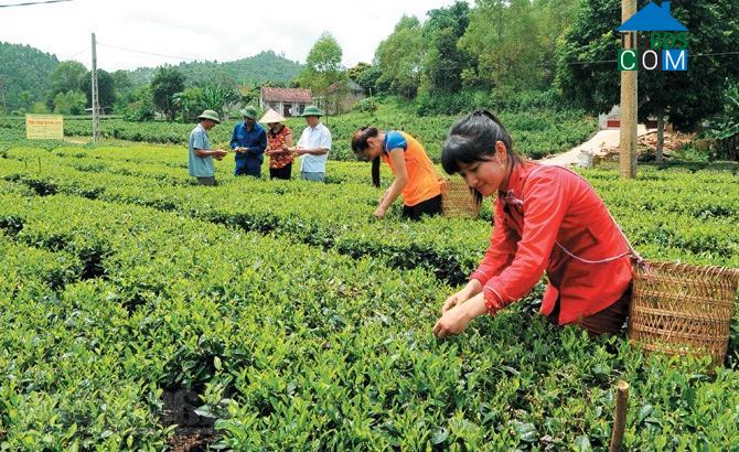 Hình ảnh Xuân Lương, Bắc Ninh